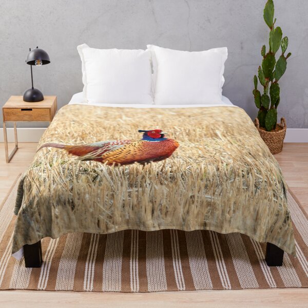 Item preview, The King of the fields. Common pheasant designed and sold by Jouko Lehto Photography.