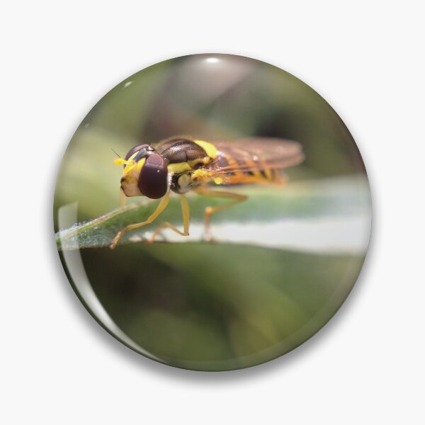 Item preview, Hoverfly on grass designed and sold by mthyselius.