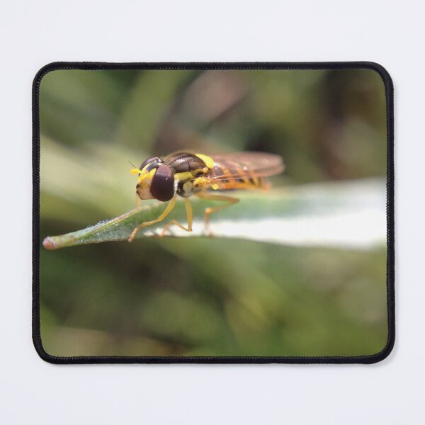 Item preview, Hoverfly on grass designed and sold by mthyselius.