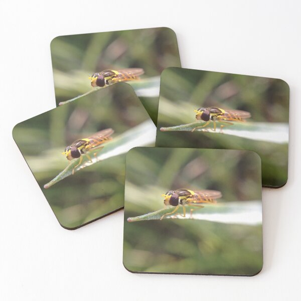 Item preview, Hoverfly on grass designed and sold by mthyselius.