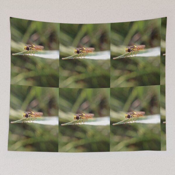 Item preview, Hoverfly on grass designed and sold by mthyselius.