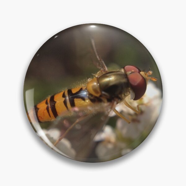 Item preview, Portrait of an Episyrphus balteatus designed and sold by mthyselius.