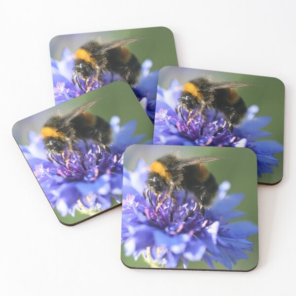 Aperçu de l'œuvre Abeille sur un bleuet créée et vendue par MDHarding.