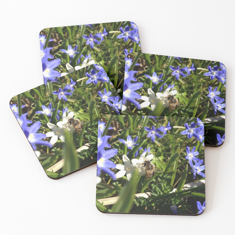 Item preview, Coasters (Set of 4) designed and sold by mthyselius.
