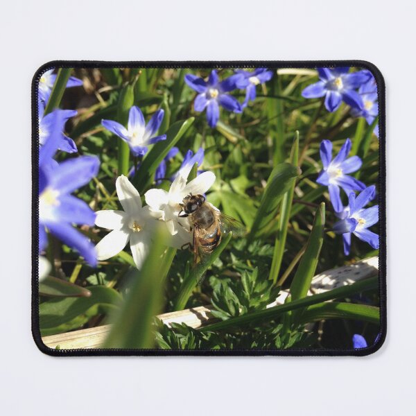 Item preview, Spring dronefly designed and sold by mthyselius.