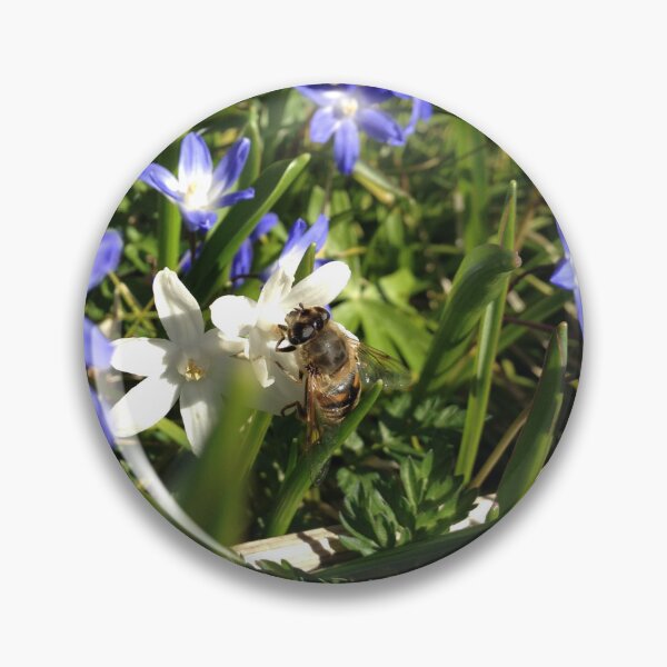 Item preview, Spring dronefly designed and sold by mthyselius.