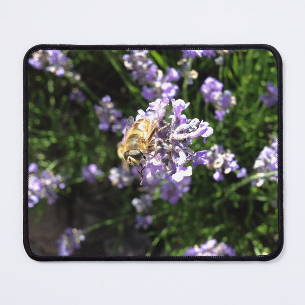 Item preview, Dronefly on lavender designed and sold by mthyselius.