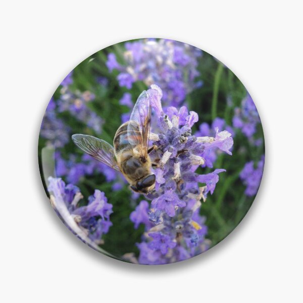 Item preview, Dronefly on lavender designed and sold by mthyselius.