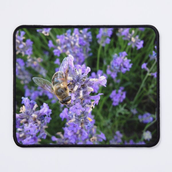 Item preview, Dronefly on lavender designed and sold by mthyselius.