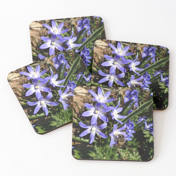 Item preview, Spring dronefly designed and sold by mthyselius.
