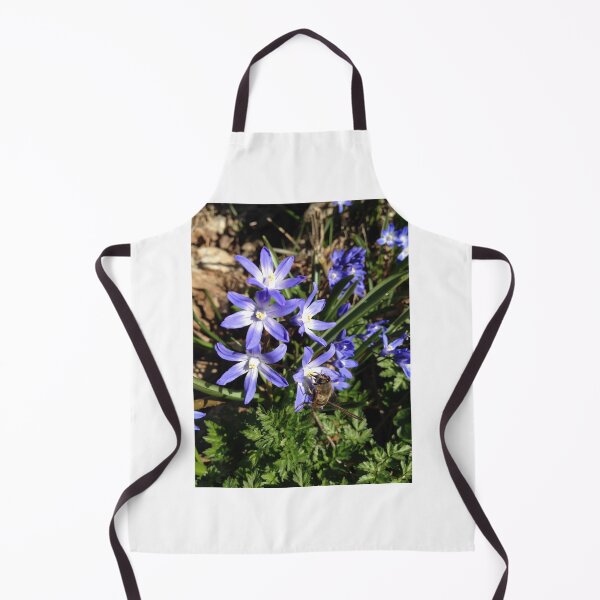 Item preview, Spring dronefly designed and sold by mthyselius.