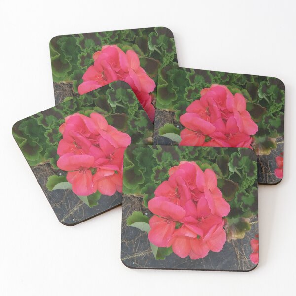 Item preview, Geranium Rocky Mt Salmon Pretty Flowers designed and sold by cascadecuts.