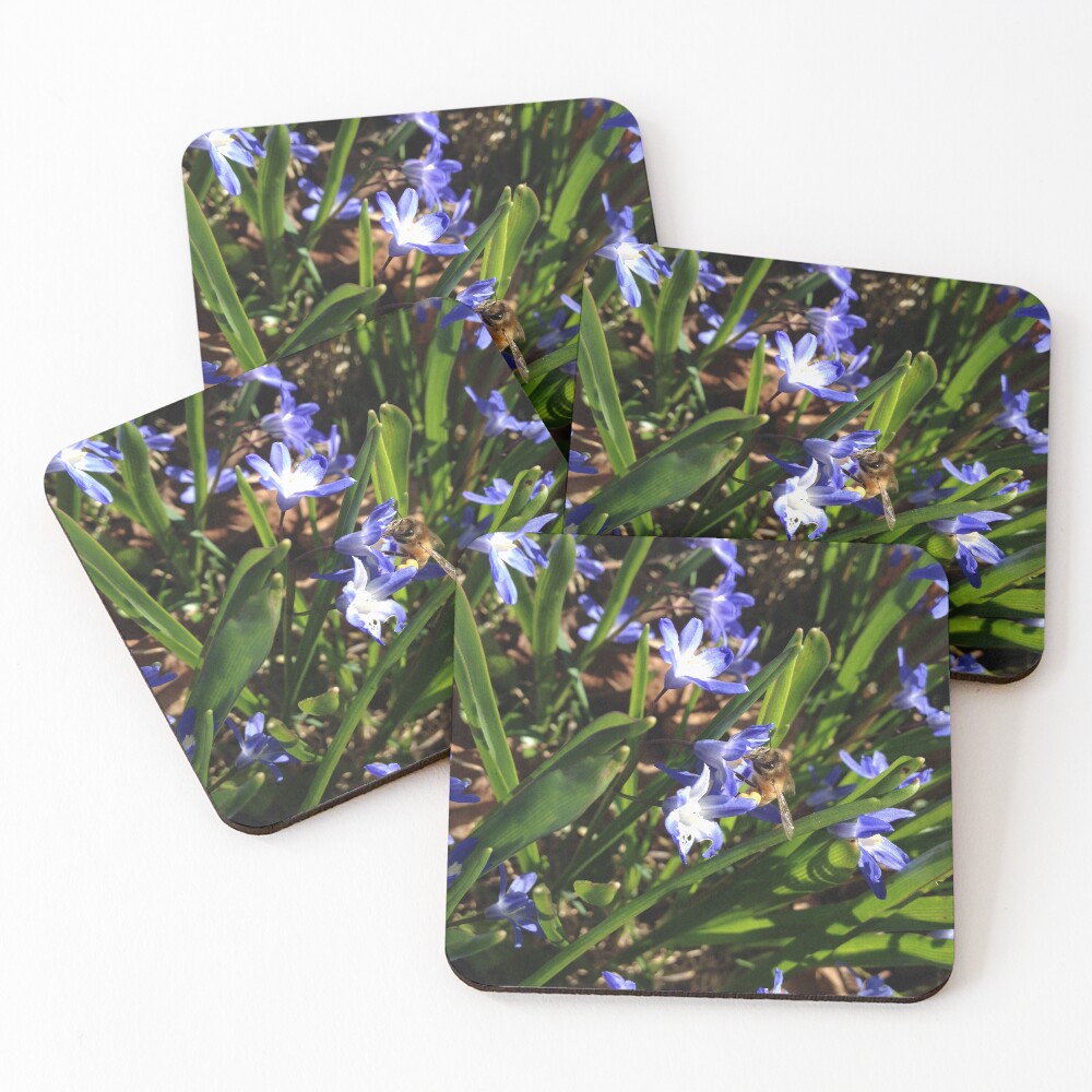 Item preview, Coasters (Set of 4) designed and sold by mthyselius.