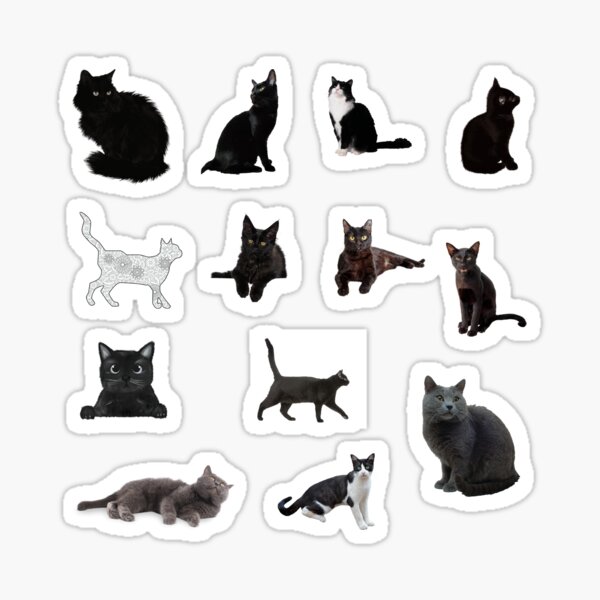 Black Cat sticker pack