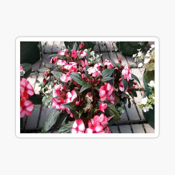 Victorian Mixed Baskets Pretty Flowers Sticker