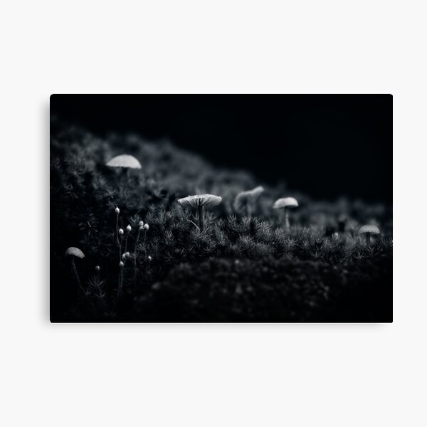 Gothic Nature 19 Canvas Print