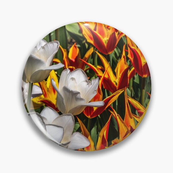 Item preview, White VS Spike Tulips designed and sold by barkeypf.