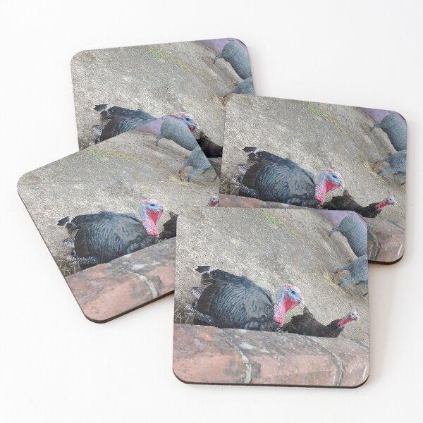 Item preview, #158 |☼| Two Turkeys (Elsham Hall, Gardens & Country Park) designed and sold by Naean H.F. (Nez Man).