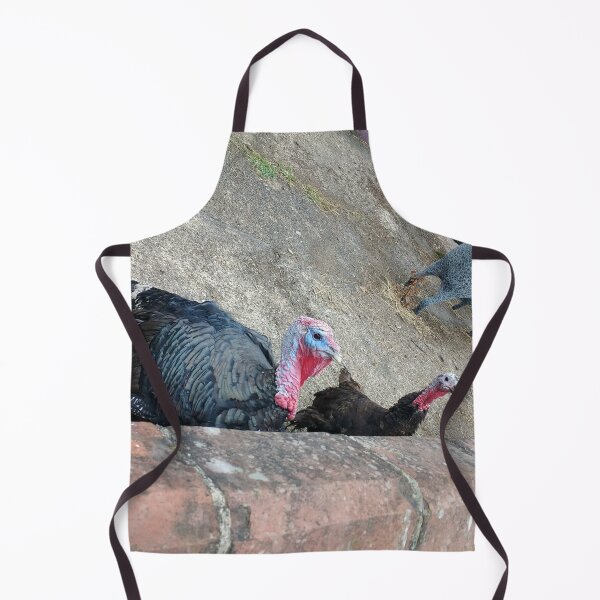 Item preview, #158 |☼| Two Turkeys (Elsham Hall, Gardens & Country Park) designed and sold by Naean H.F. (Nez Man).