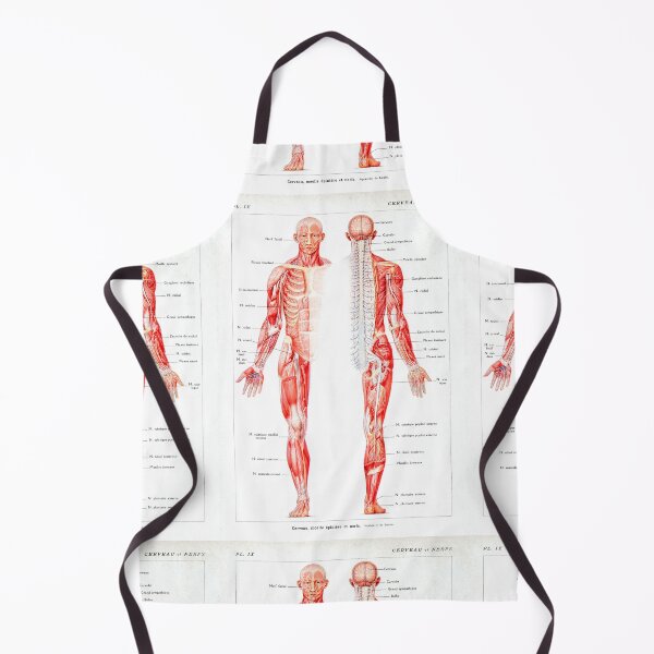 Item preview, Vintage Muscular System Anatomical Chart - Human Muscle Anatomy  designed and sold by TeeARTHY.