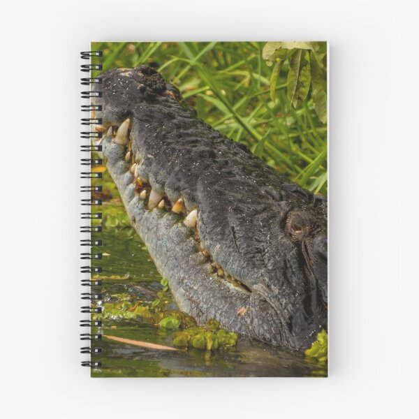 Item preview, Wakadu Crocodile designed and sold by elfcall.