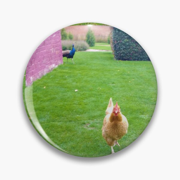 Item preview, #159 |☼| Chicken Peafowl Chase - Shot 1 (Elsham Hall, Gardens & Country Park) designed and sold by Naean H.F. (Nez Man).