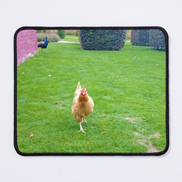 Item preview, #159 |☼| Chicken Peafowl Chase - Shot 1 (Elsham Hall, Gardens & Country Park) designed and sold by Naean H.F. (Nez Man).