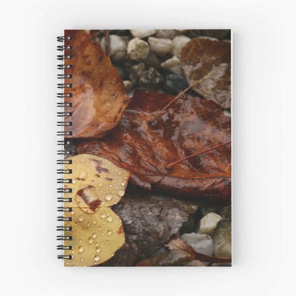 Item preview, Autumn Remnants designed and sold by beeden.