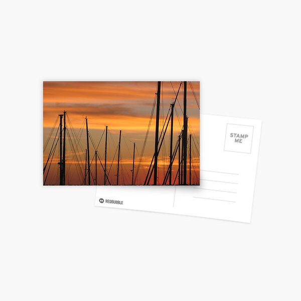 Marina Masts Postcard