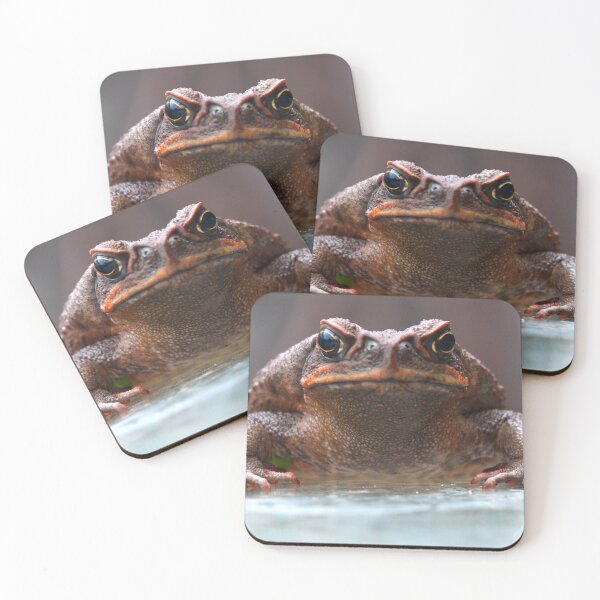 Item preview, Bufo marinus designed and sold by andrachne.
