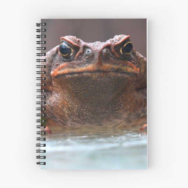 Item preview, Bufo marinus designed and sold by andrachne.
