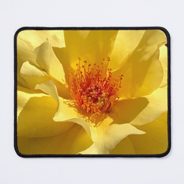 Item preview, Plush Yellow Rose With Opulent Shadows  designed and sold by DEC02.