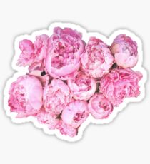 Pink Peonies Sticker