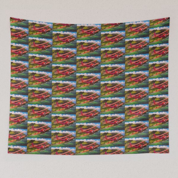 Item preview, North Shore Staggerwing designed and sold by Brian Roland.