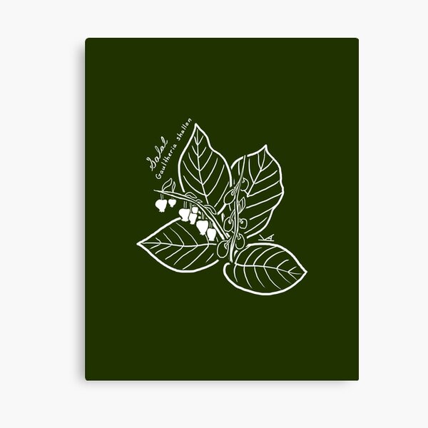 Item preview, Salal line art designed and sold by Fernheart Designs.