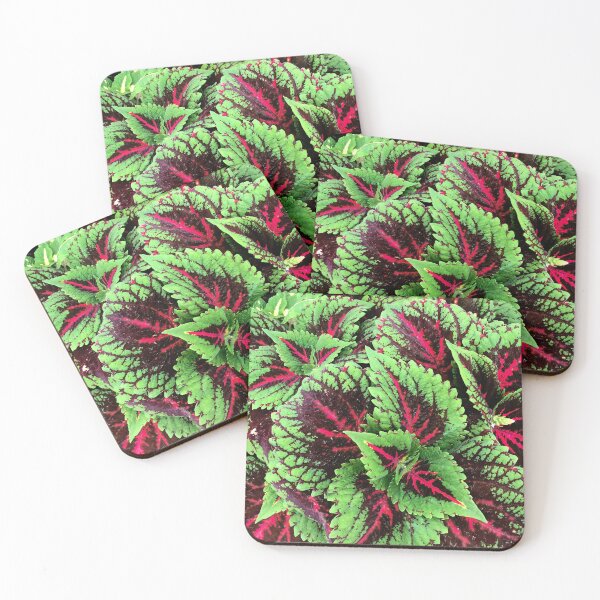 Item preview, Luxuriously Lush Red-Pink And Green Coleus Leaves  designed and sold by DEC02.