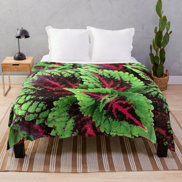 Item preview, Luxuriously Lush Red-Pink And Green Coleus Leaves  designed and sold by DEC02.