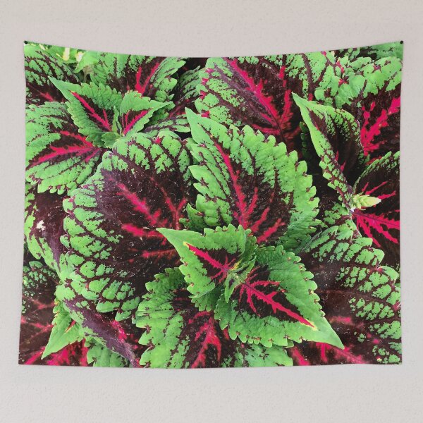 Item preview, Luxuriously Lush Red-Pink And Green Coleus Leaves  designed and sold by DEC02.