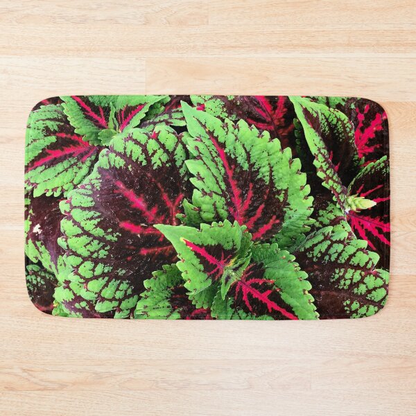 Item preview, Luxuriously Lush Red-Pink And Green Coleus Leaves  designed and sold by DEC02.