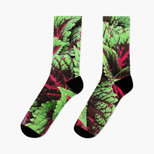 Item preview, Luxuriously Lush Red-Pink And Green Coleus Leaves  designed and sold by DEC02.