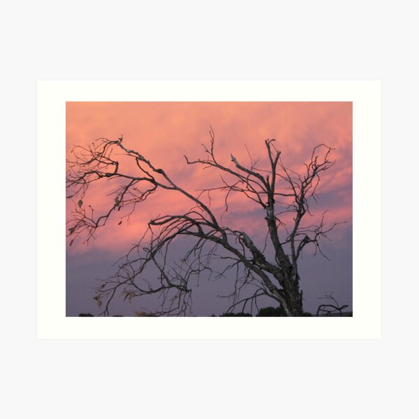 Twilight Tree Art Print