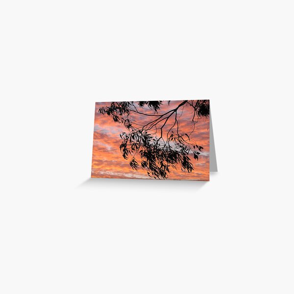 Sundown Silhouette Greeting Card