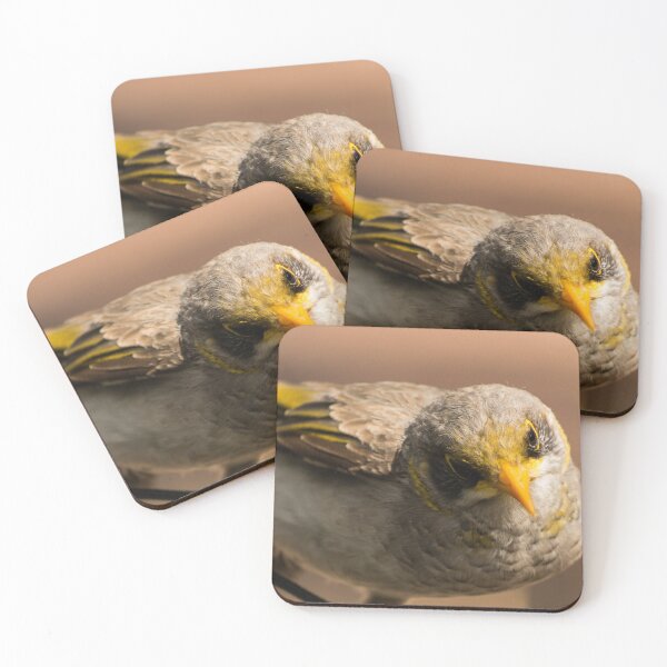Item preview, Curious designed and sold by DVJPhotography.