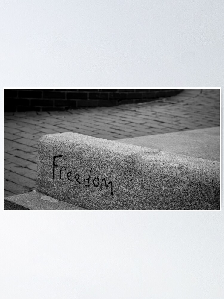 "Freedom B+W" Poster For Sale By Esmeg-x | Redbubble