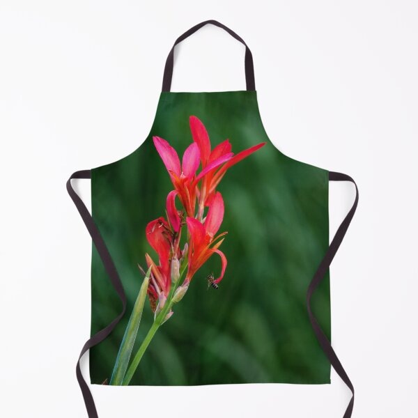 Item preview, Red Canna Glauca in The Garden designed and sold by Borinna.