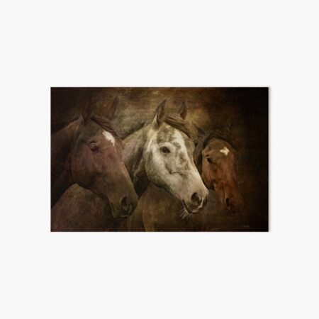 Wild Horses Art Board Print
