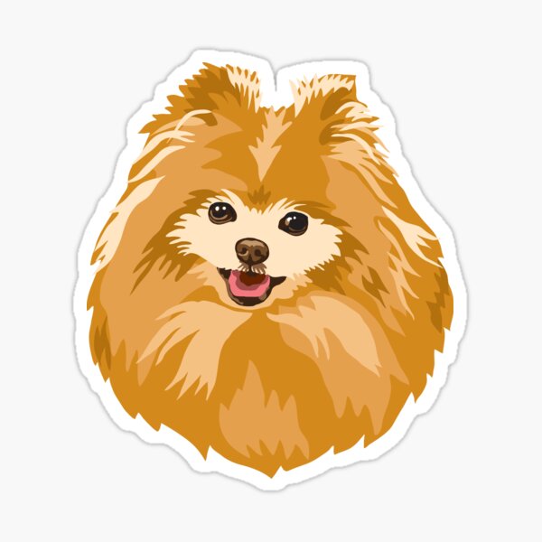 Pomeranian Sticker