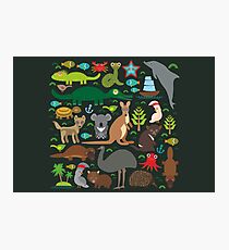 Funny australian animals Photographic Print