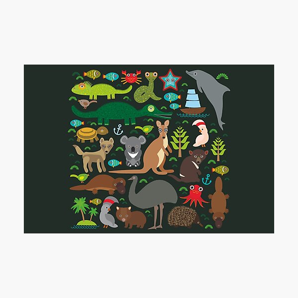 Funny australian animals Photographic Print