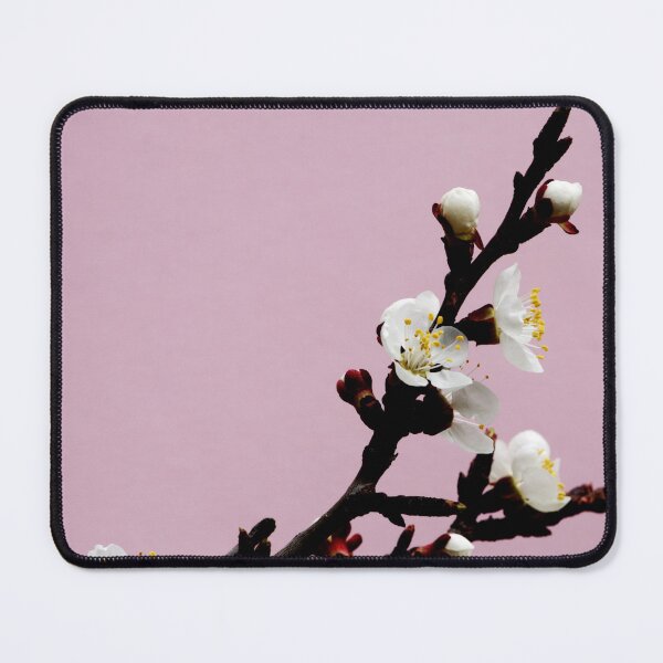 Item preview, Apricot blossoms on a pink background designed and sold by Michaelerch.
